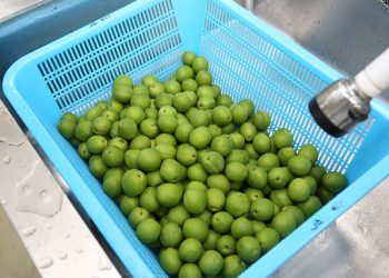 Давальницька переробка: як замовнику оприбуткувати готову продукцію та зворотні відходи