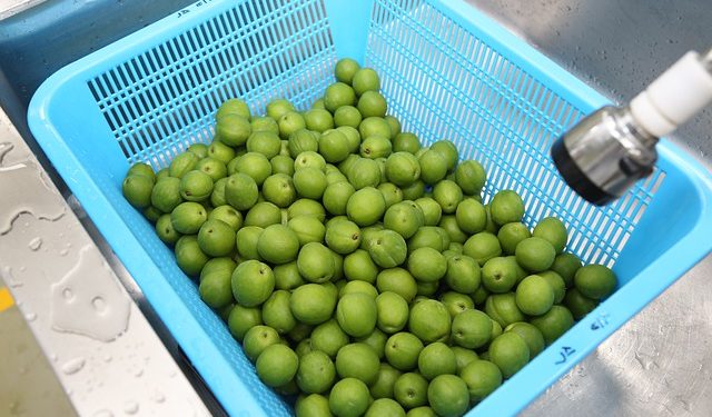 Давальницька переробка: як замовнику оприбуткувати готову продукцію та зворотні відходи
