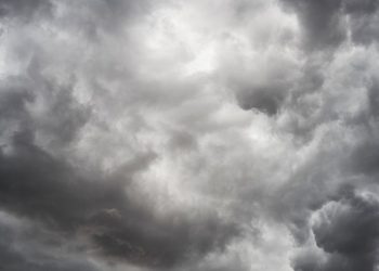 Як оплачувати простій через негоду на сільгоспвиробництві