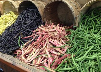 18 вересня – ЕРА ПІСЛЯ COVID-19 (тематика бобовых культур)