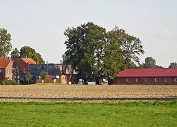 10 вересня — XI Міжнародна конференція «Ефективне управління агрокомпаніями» (LFM)