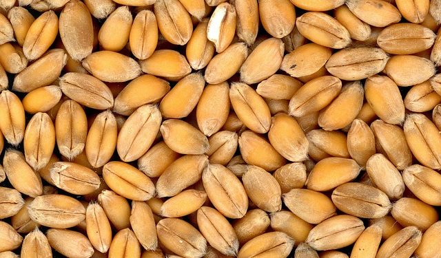 Середньогалузеві нормативні витрати на виробництво об’єкта державного цінового регулювання на 2019/2020 маркетинговий рік