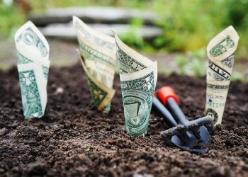 Порядок використання коштів, передбачених у державному бюджеті для надання фінансової підтримки розвитку фермерських господарств