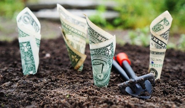 Порядок використання коштів, передбачених у державному бюджеті для надання фінансової підтримки розвитку фермерських господарств