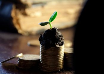 Порядок використання коштів, передбачених у державному бюджеті для надання підтримки фермерським господарствам