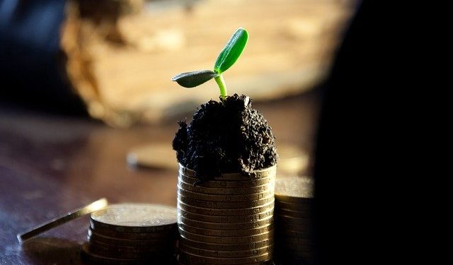 Порядок використання коштів, передбачених у державному бюджеті для надання підтримки фермерським господарствам