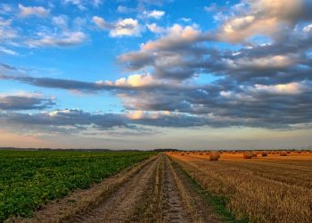24 вересня — Всеукраїнський аграрний саміт