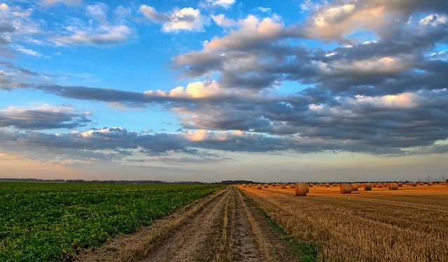 24 вересня — Всеукраїнський аграрний саміт