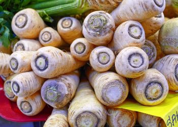 Як купити якісні саджанці, насіння овочів та коренеплодів: пам’ятка