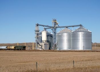 10 грудня — Елеватори та складська логістика