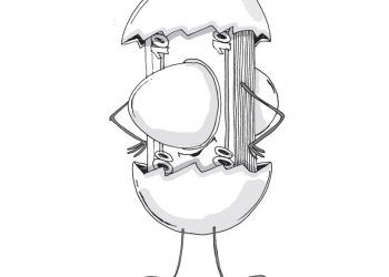 Продаж сільгосппродукції власного виробництва за ціною, нижчою за собівартість: що з ПДВ
