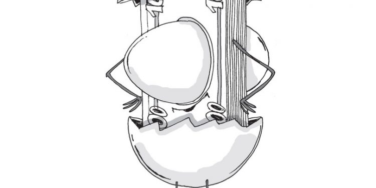 Продаж сільгосппродукції власного виробництва за ціною, нижчою за собівартість: що з ПДВ