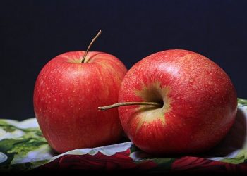 В Україні у вересні зафіксовано рекордно високу ціну на яблука