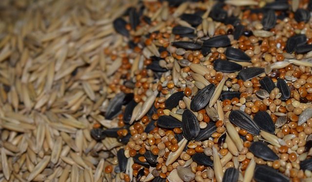 Виробник кормів виявив неякісну продукцію: документальне оформлення та облік