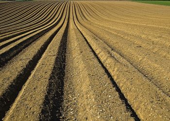 Особливості застосування аграріями нормативної грошової оцінки земель