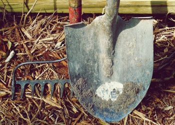 Правила охорони праці у сільськогосподарському виробництві