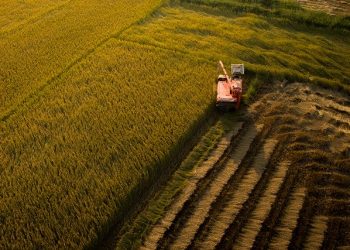 У Раді зареєстрували законопроєкт щодо підвищення захисту інтересів власників земельних ділянок