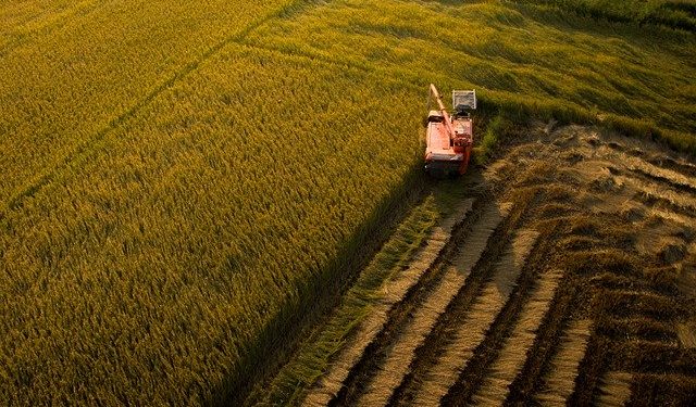 У Раді зареєстрували законопроєкт щодо підвищення захисту інтересів власників земельних ділянок
