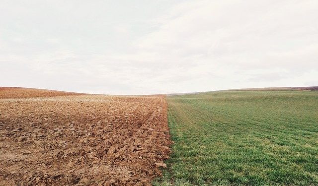 Представлено план дій уряду на 2020 рік в рамках земельної реформи