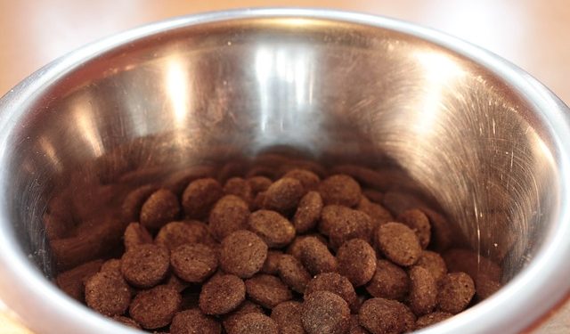 Поживність кормів тваринного походження