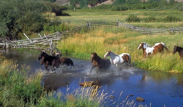 Нормативи екологічно безпечного управління водовідведенням