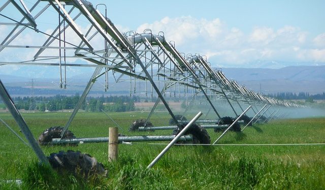 Уряд буде посилювати розвиток зрошення на півдні України, – Петрашко
