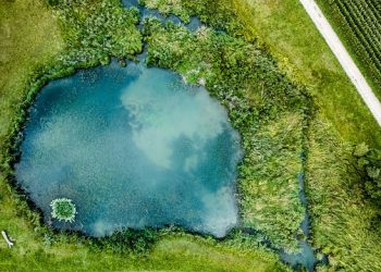 Ставок в оренду для розведення риби: порядок, проблеми, рекомендації