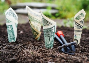 В які строки виплачують бюджетну дотацію аграріям