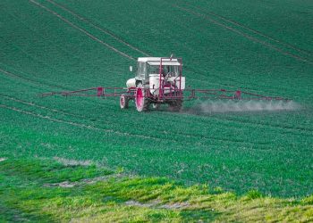Державний реєстр пестицидів і агрохімікатів, дозволених до використання в Україні
