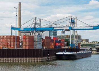 В Черноморском регионе наблюдается тенденция роста цен на зерно и масличные