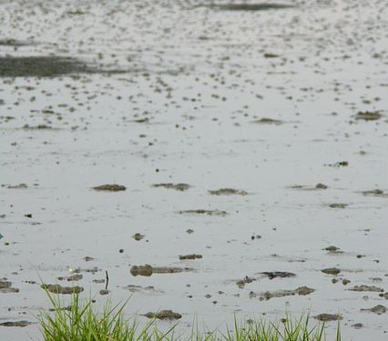 Нормативи екологічно безпечного зрошення та управління поливами