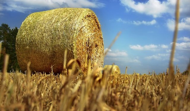 Оренда паїв: як визначити об’єкт оподаткування ПДФО