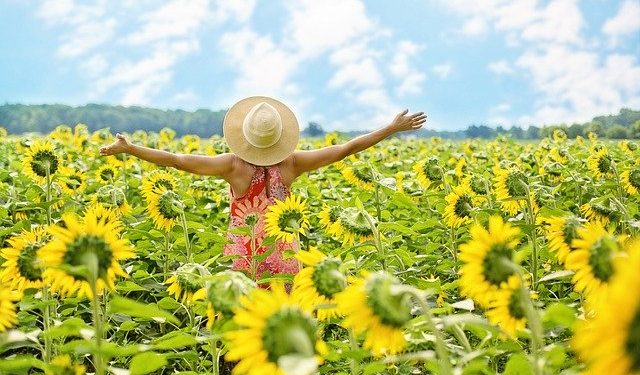 За які землі підприємцям-аграріям платити єдиний податок