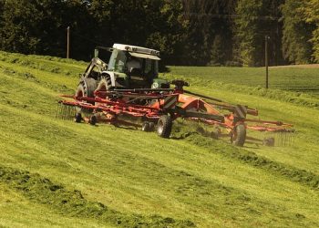 Відтепер скористатись здешевленням кредитів зможуть і переробні підприємства АПК, – Петрашко