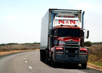 Норми природного убутку окремих видів вантажів при перевезеннях автомобільним транспортом