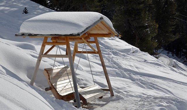 Аграрій придбав благодійний товар для сільради: що в обліку