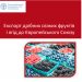 Експорт дрібних свіжих фруктів і ягід до Європейського Союзу. Практичний посібник для українського агробізнесу