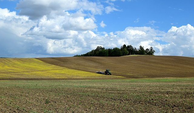 За які землі підприємцям-аграріям платити єдиний податок
