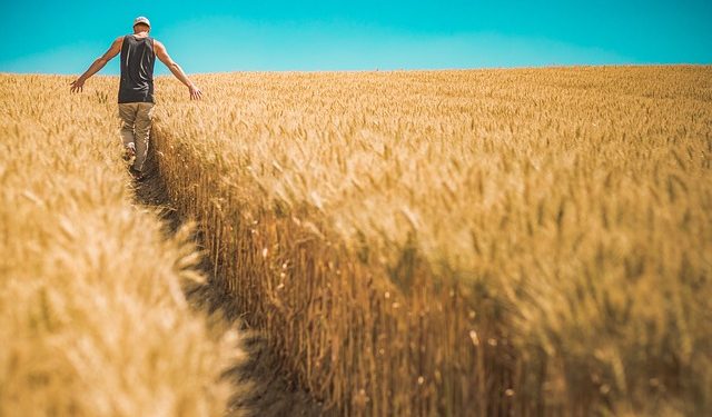 За якою ставкою сплачувати єдиний податок підприємцям 4 групи