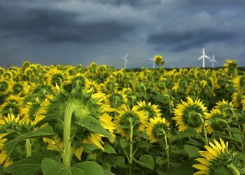Чи може аграрій-єдинник 4 групи серед року перейти на 3 групу