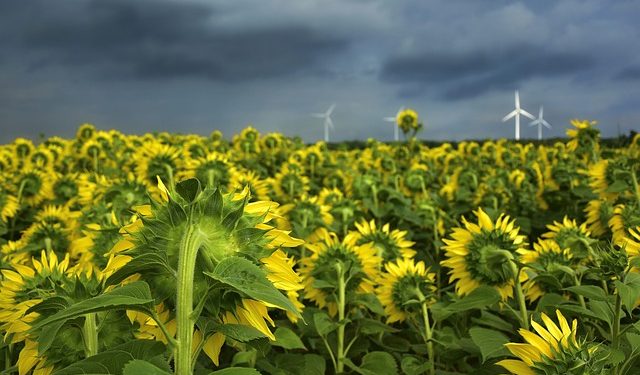Чи може аграрій-єдинник 4 групи серед року перейти на 3 групу