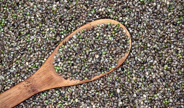 Передпосівна обробка насіння: документи та облік