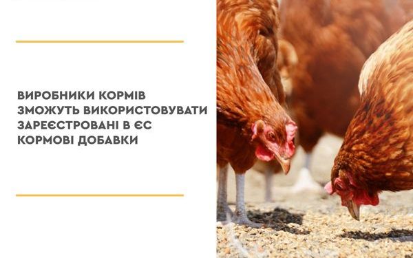 Виробники кормів зможуть використовувати зареєстровані в ЄС кормові добавки