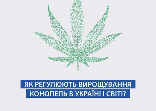 Чим відрізняється регулювання конопель в Україні від країн ЄС чи США?