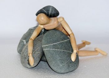 Бюджетне відшкодування ПДВ агропідприємством: дії у випадку відмови