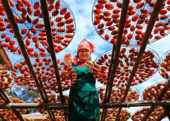 Фермерське господарство: яку систему оподаткування обрати