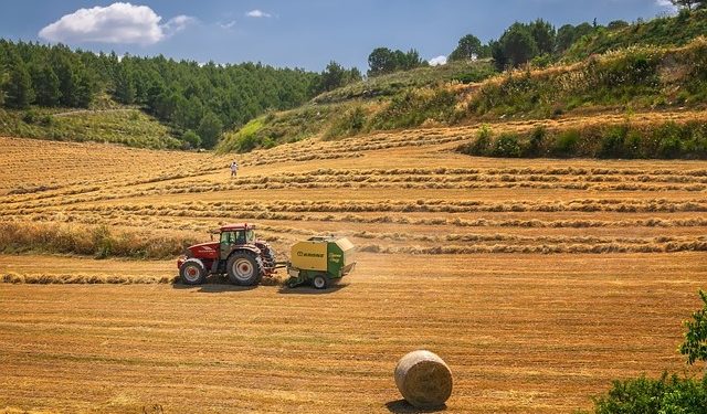 Лист ВС від 02.02.2021 р. “Земельні спори за участю фермерських господарств: практика Верховного Суду”