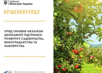 Оновлено механізм державної підтримки розвитку садівництва, виноградарства та хмелярства