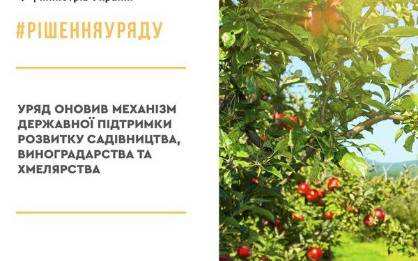Оновлено механізм державної підтримки розвитку садівництва, виноградарства та хмелярства
