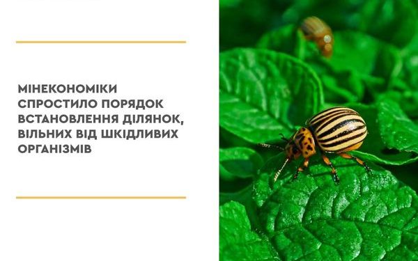 Мінекономіки спростило порядок встановлення ділянок, вільних від шкідливих організмів